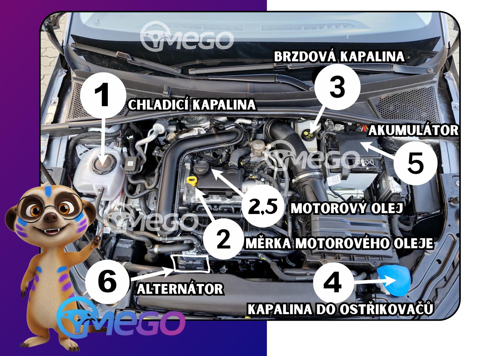 Pod kapotou auta — provozní kapaliny v autě v motorovém prostoru